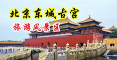 囗日本美少妇乳交中国北京-东城古宫旅游风景区